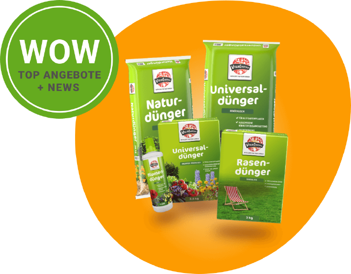 newsletterbild viva garden newsletterbild viva garden